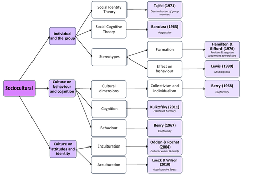 IB HL Psychology - Summary of main studies