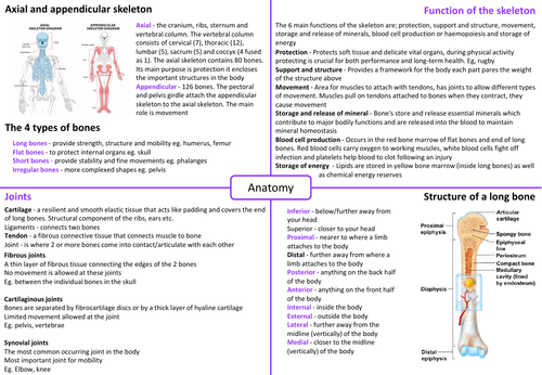 ib-sehs-topic-1-anatomy-teaching-resources