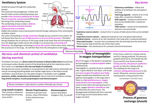 ib-sehs-topic-on-a-page-unit-2-teaching-resources