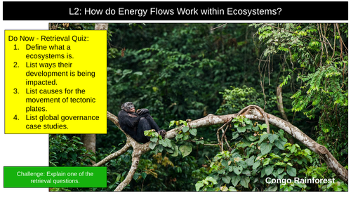 Ecosystem Energy Flows AQA