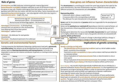 IB HL SEHS - Topic 12 Genetic & Athletic Performance