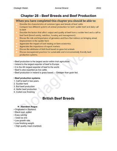 BEEF PRODUCTION - Full notes including exam questions