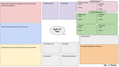 Beef production - Mindmap/Placemat