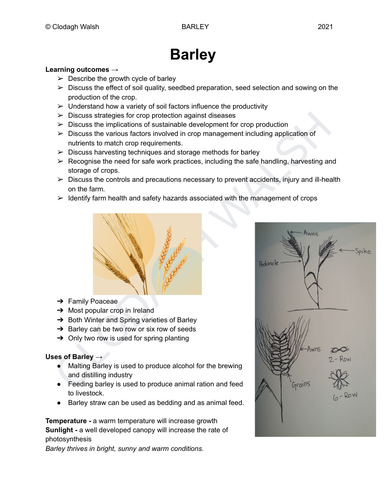 Barley - Leaving Cert Ag Science Notes with Exam Questions