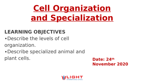Specialized cells