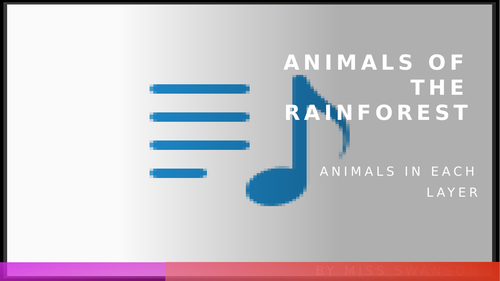 animals of the rainforest
