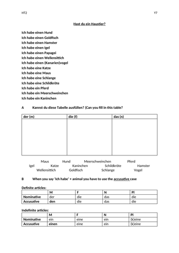 Y7 German - Hast du Haustiere?