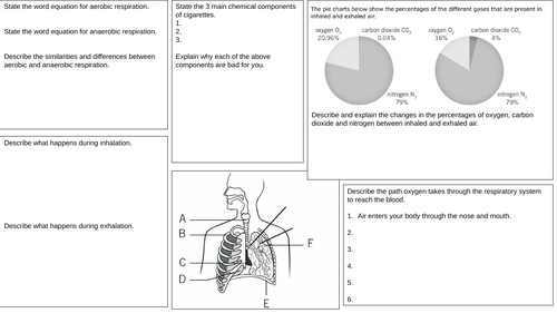 Breathing and Respiration Revision MAT with answers