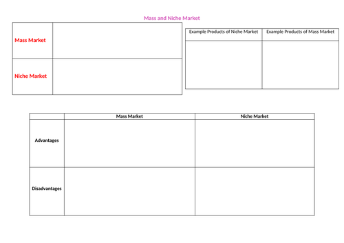 Mass/Niche Market worksheet