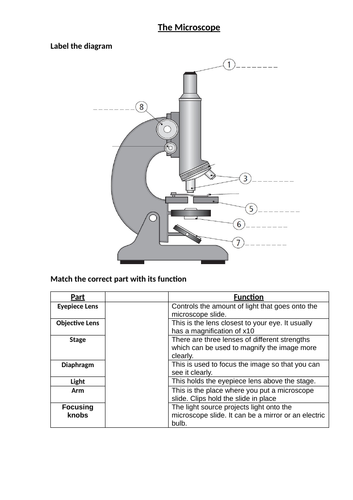 KS3 cells whole topic resources