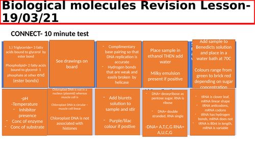 Biological molecules revision lessons