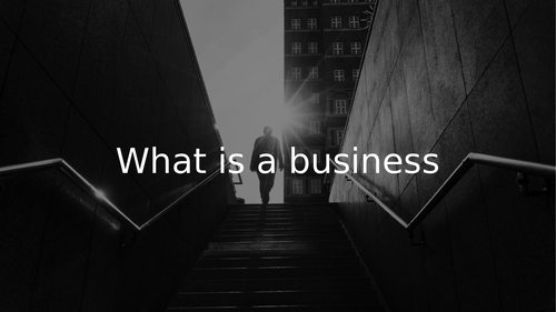 What is a business