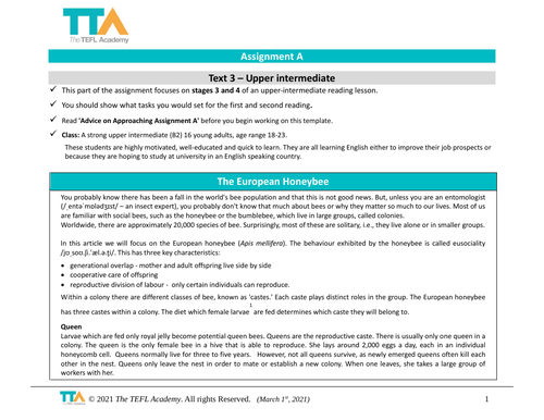 TEFL Level 5 assignment A