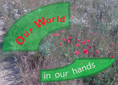 Our World