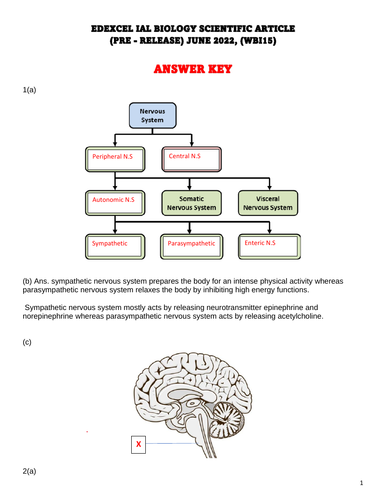 JUNE 2022 UNIT 5 SCIENTIFIC ARTICLE ARTICLE QUICK ANSWER KEY FOR PREDICTED QUESTIONS