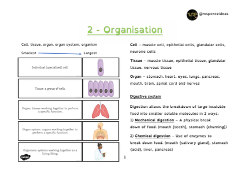 Revision 2 - Organisation