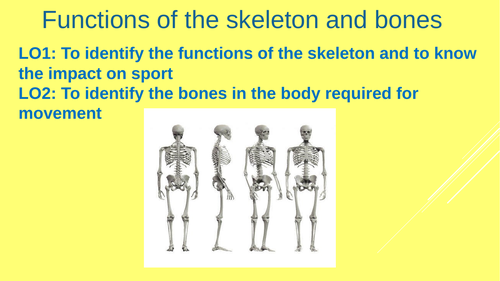 functions-of-the-skeleton-and-bones-gcse-pe-edexcel-teaching-resources