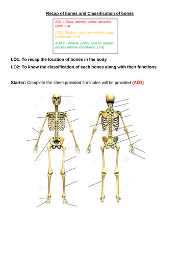 Classification of bones with Bones recap GCSE PE (Edexcel)