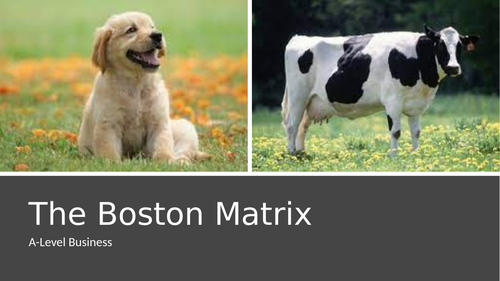 The Boston Matrix - basic introduction