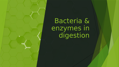 Bacteria and enzymes in digestion
