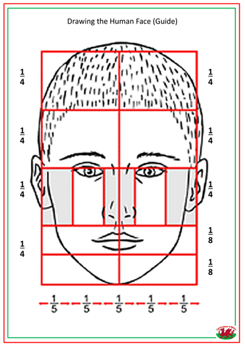 Drawing faces template