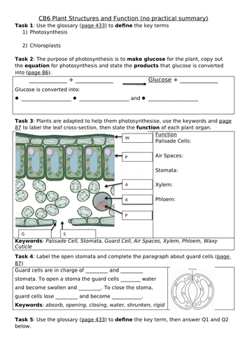 CB6 Plant Structures and Function Revision Sheet , Edexcel Combined Science: Biology
