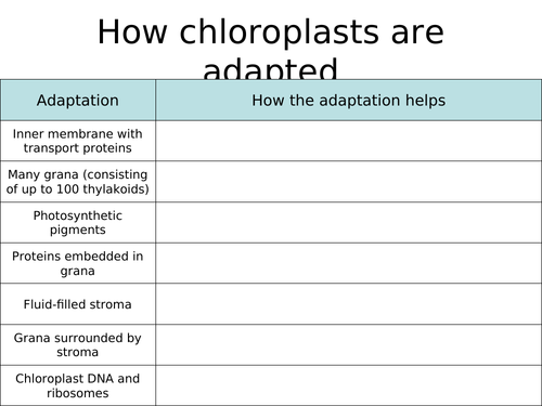 AS BIOLOGY Chloroplasts