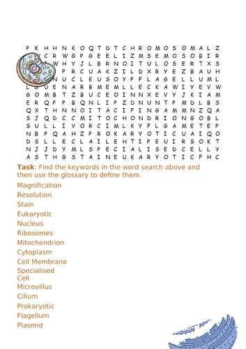 CB1 Key Concepts in Biology Keywords Wordsearch (Cells, Transport, Enzymes) - SAMPLE