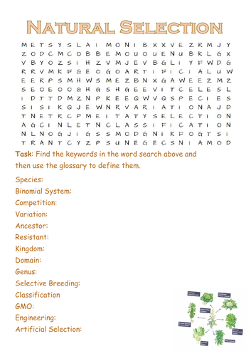 CB4 Natural Selection Wordsearch: Edexcel Keywords - SAMPLE