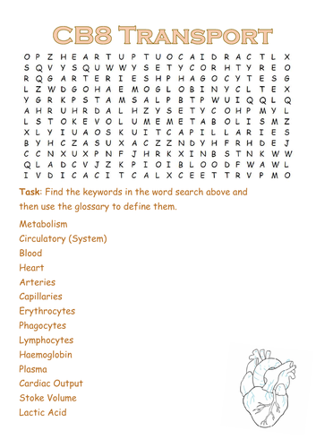 CB8 Exchange & Transport Word Search: Edexcel Keywords Wordsearch - SAMPLE