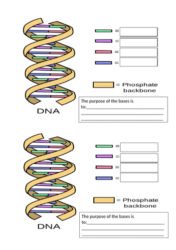 Activate 3 - B2 - Turning Points in Biology - DNA | Teaching Resources