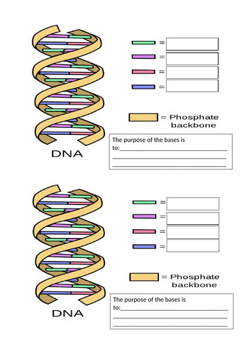 Activate 3 - B2 - Turning Points in Biology - DNA