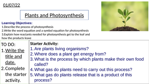 GCSE Biology Photosynthesis and Plant Organs: Complete Lesson