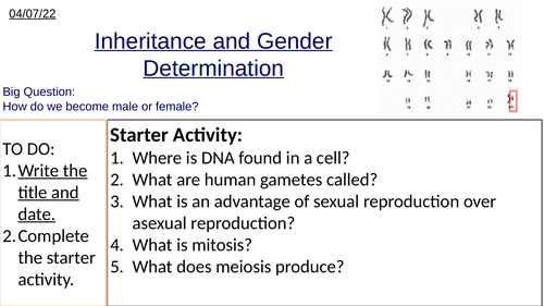 GCSE Biology Inheritance, Gender Determination and Genetic Cross Diagrams: Complete Lesson