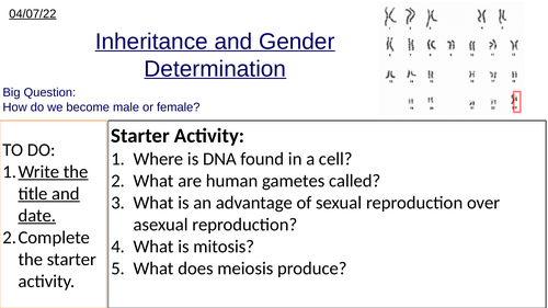GCSE Inheritance, Gender Determination and Genetic Cross Diagrams