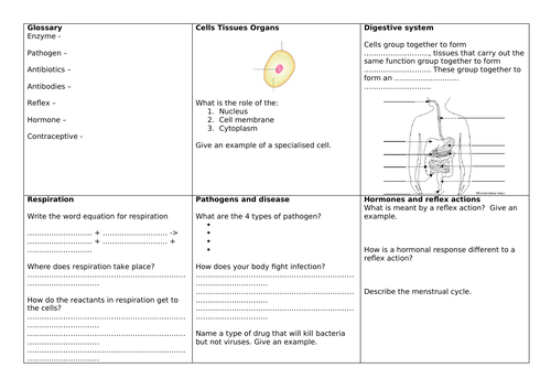 Revision: The human body (entry level certificate)