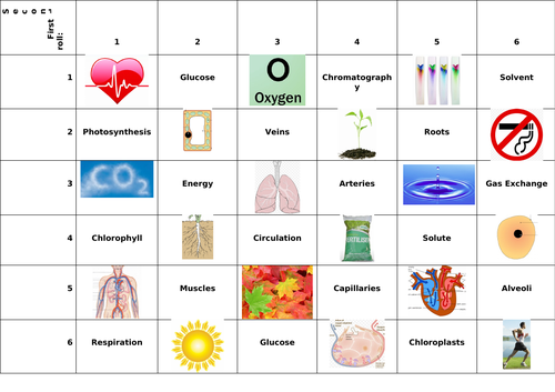 Revision grid: life sciences