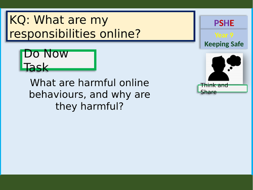 Responsible Online Behaviour PSHE lesson