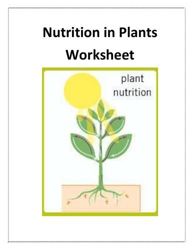 Nutrition in Plants