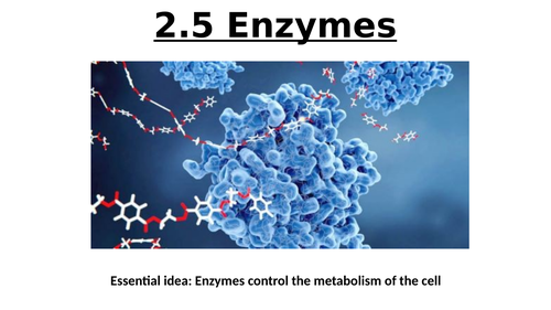 IB Biology Topic 2 Molecular Biology & Topic 8 Metabolism, Respiration & Photosynthesis