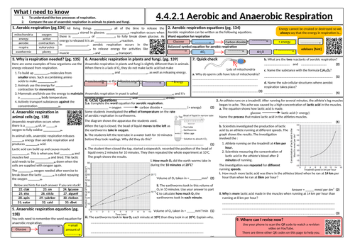 Aerobic and Anaerobic respiration