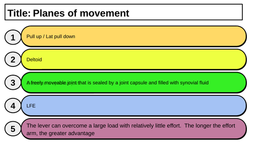 Structure and function of the muscular system and movement analysis