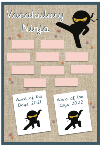 Vocabulary Ninja Display