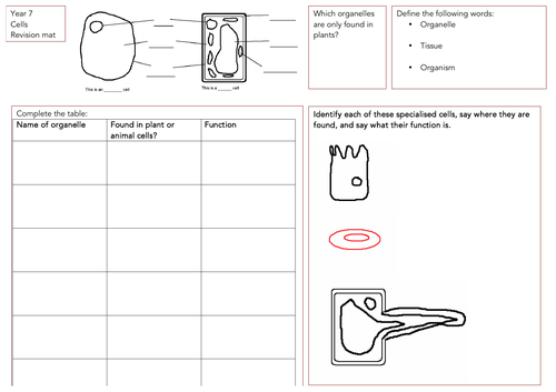 Year 7 KS3 Cells revision mat