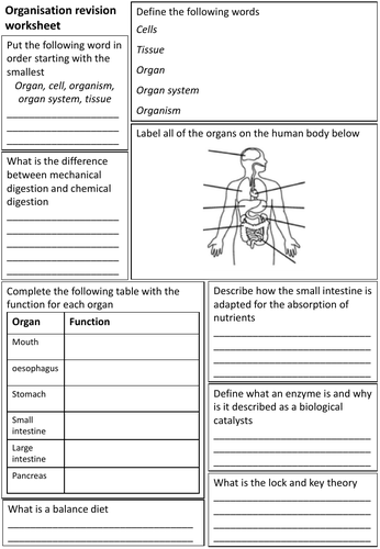 Year 8 science revision worksheet