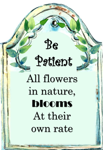 Tranquil botanical theme stoned posters.