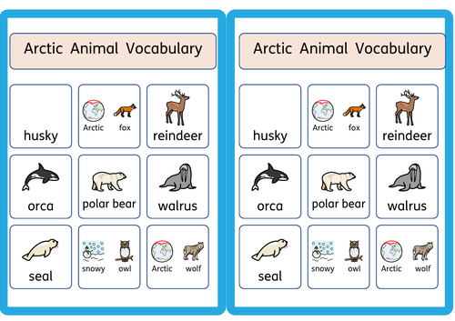 Arctic Animal Vocabulary