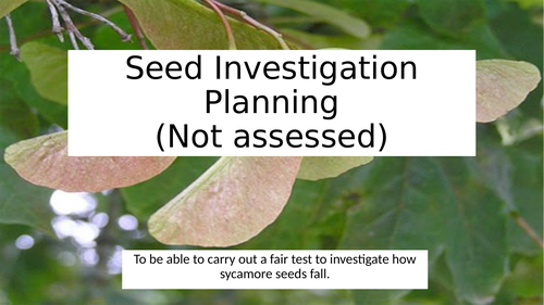 seed investigation