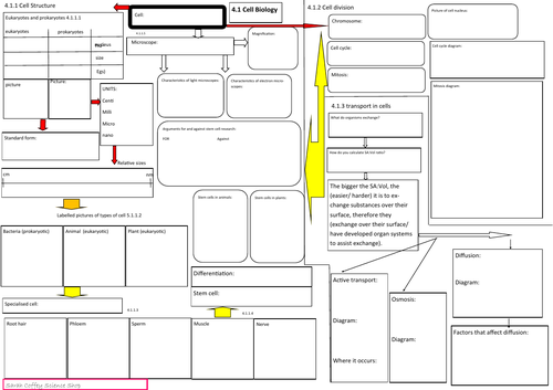 Biology AQA revision mats (combined + triple)