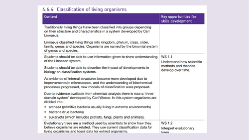Classification and Food chains